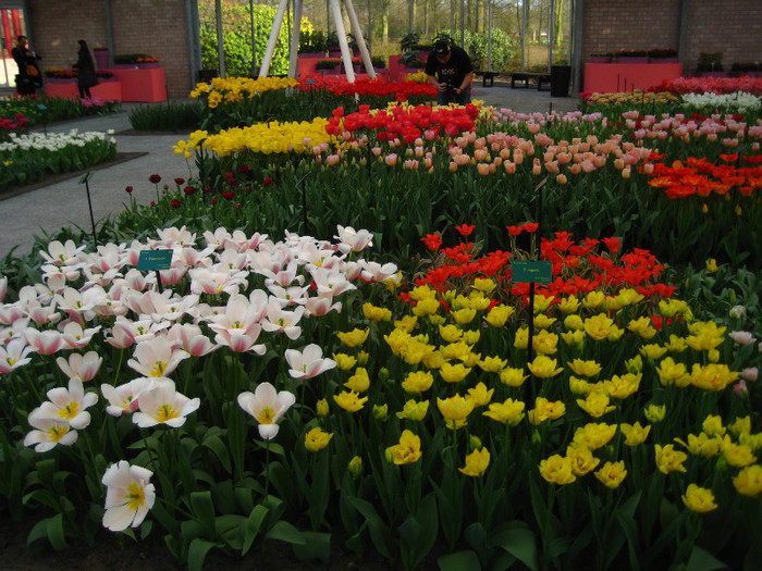 23.03.2012 o zi de vis 152