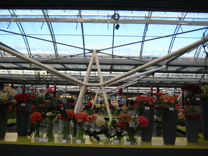 23.03.2012 o zi de vis 184 - Keukenhof 2012
