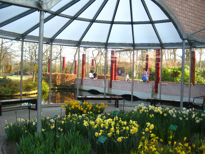 23.03.2012 o zi de vis 213 - Keukenhof 2012