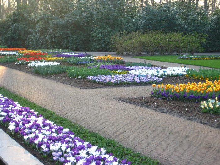 23.03.2012 o zi de vis 302 - Keukenhof 2012