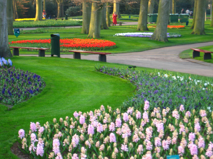 23.03.2012 o zi de vis 324 - Keukenhof 2012