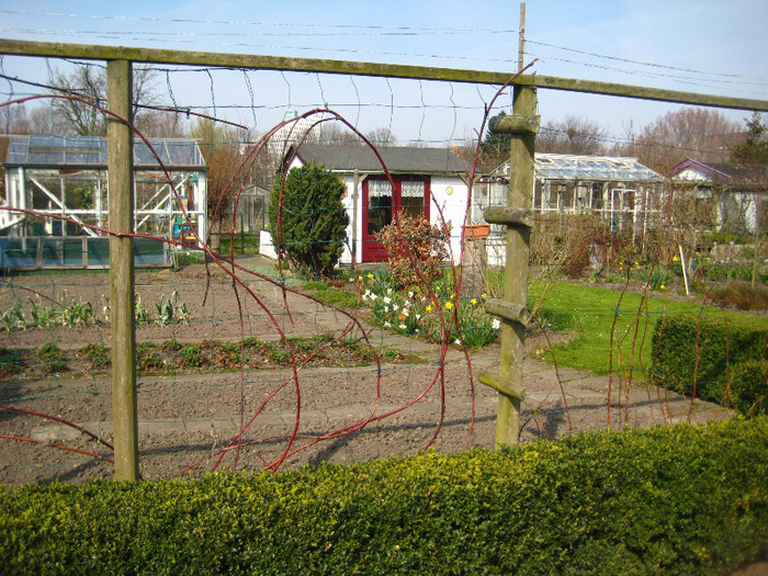 24.03.2012 in gradinile cartierului 005