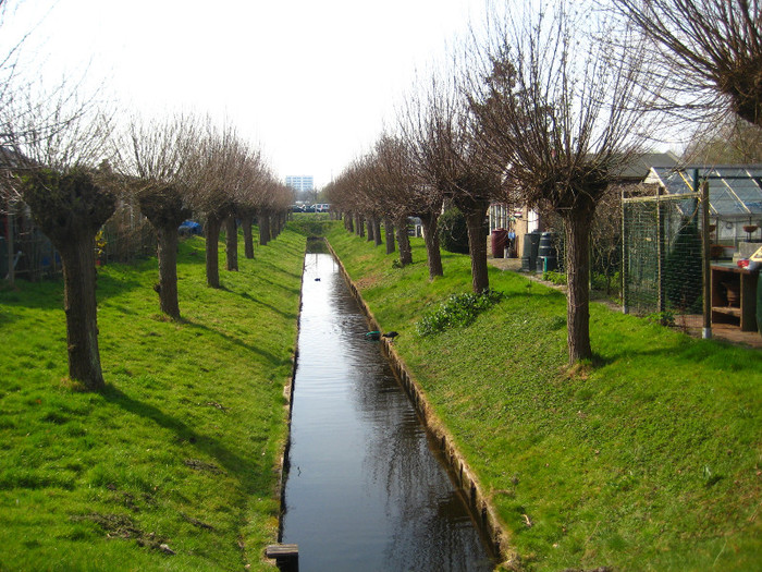 24.03.2012 in gradinile cartierului 006 - Haga