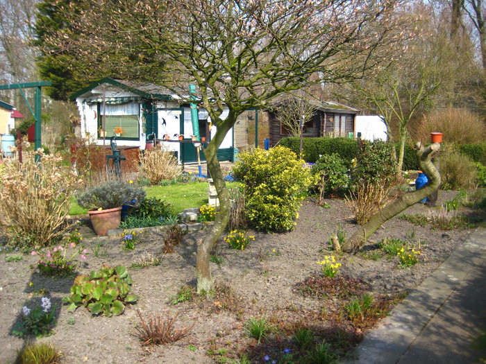 24.03.2012 in gradinile cartierului 023