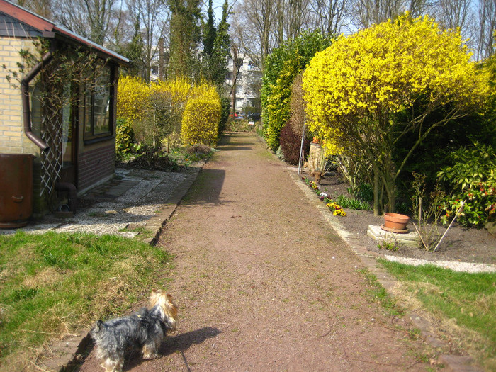 24.03.2012 in gradinile cartierului 025