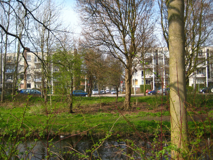 24.03.2012 in gradinile cartierului 027