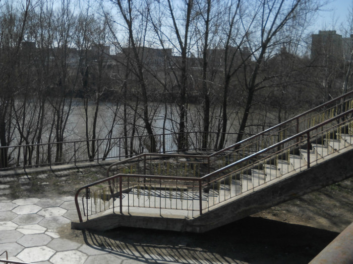 005 - la neamuri in S-M