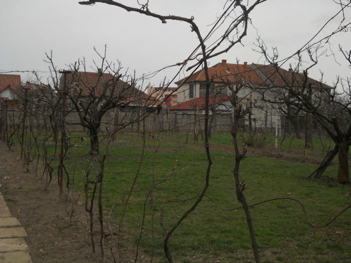 020 - la neamuri in S-M