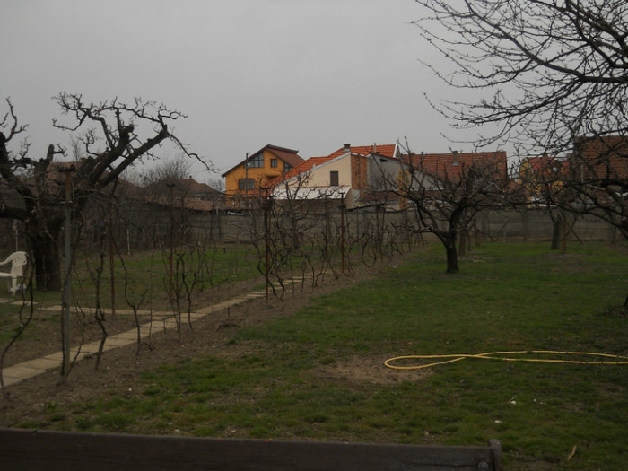 021 - la neamuri in S-M