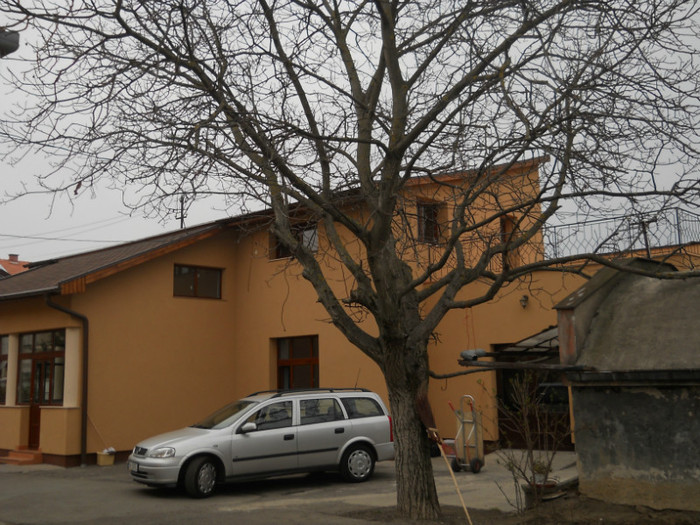 025 - la neamuri in S-M