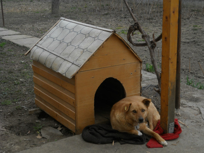 Radu - la neamuri in S-M