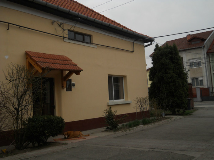 Bruni - la neamuri in S-M