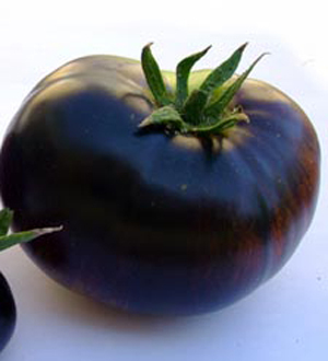 rosii negre - seminte legume