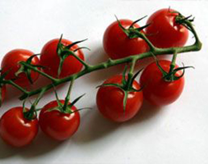 rosiisherry - seminte legume