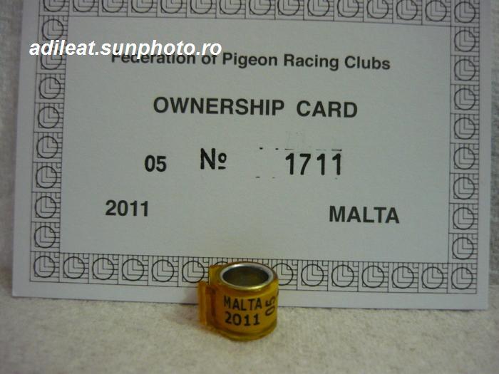 MALTA-2011 - MALTA-ring collection