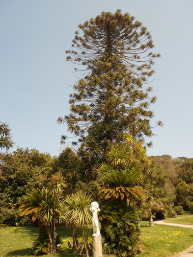 DSCN2022 - REGGIA DI CASERTA PALAZZO E GIARDINI