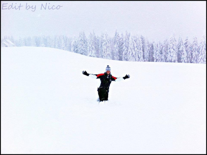 398497_178926305541033_147156642051333_245207_214756709_n