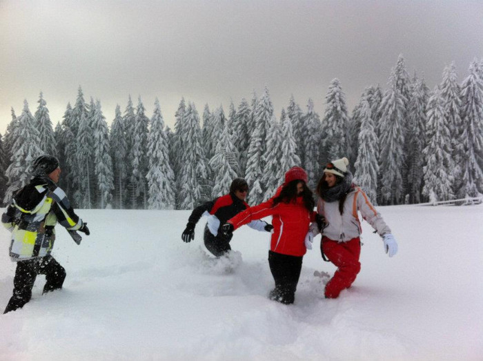 406452_178926155541048_147156642051333_245202_481820331_n