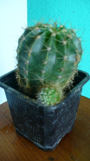 P1030709