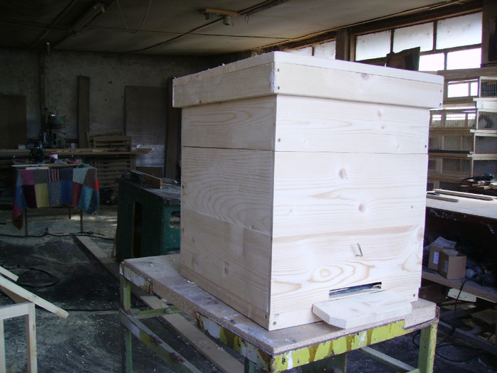 Stup albine 10 rame verticale