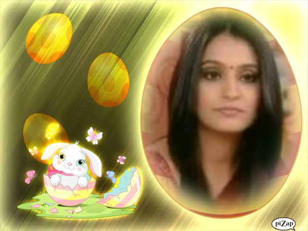 pizap.com13331173601101 - Colaje-india