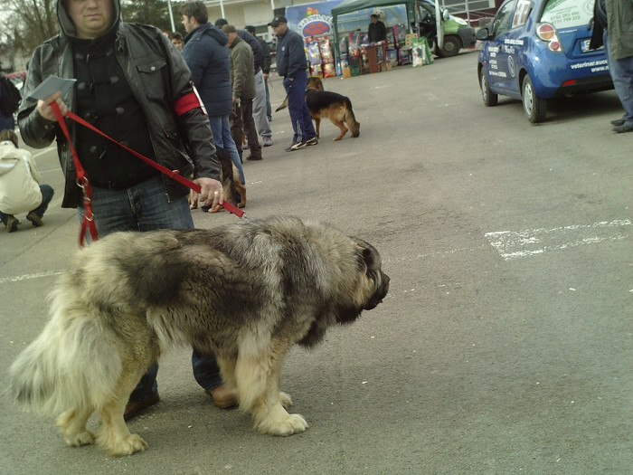 SUNP0004 - cupa bucovina 2012