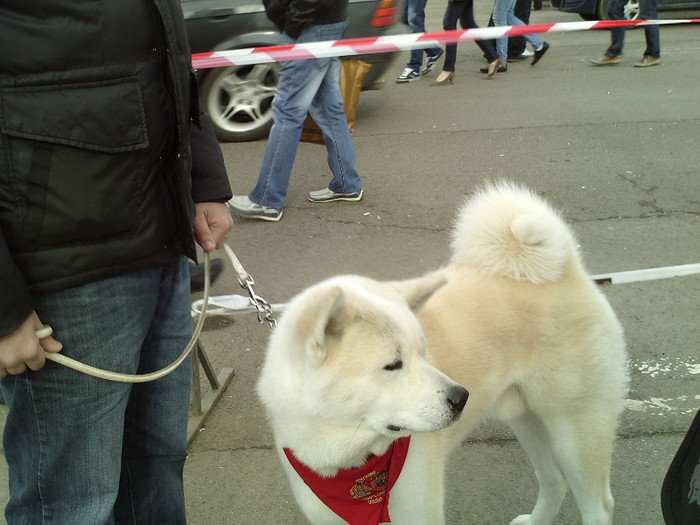 SUNP0005 - cupa bucovina 2012