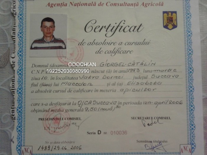 Fotografie1814; revenire de la vechiul la noul nume...Am abuzat de diploma :)
