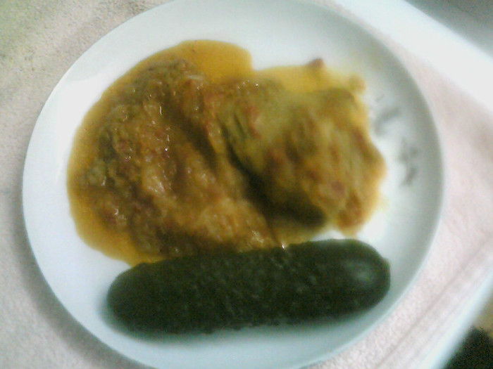 TOCANITA DE CEAPA CU PUI