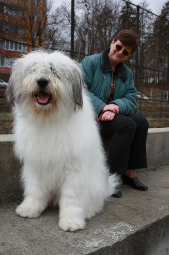 IMG_9846 - o noua membra a familiei-MARA-CIOBANESC MIORITIC