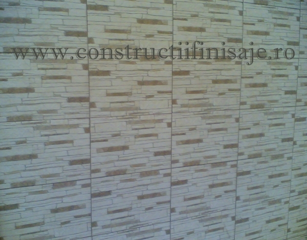 Piatra decorativa 1