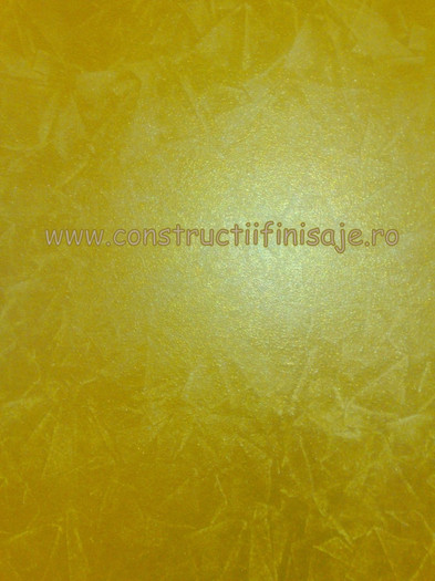 Zugraveala decorativa lucioasa 4