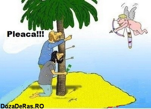 cupidon - Chesti haioase