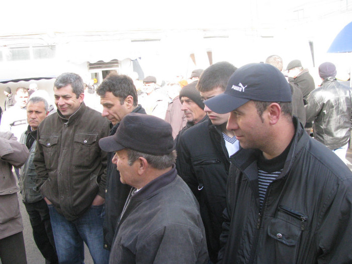 IMG_1080 - targ slobozia