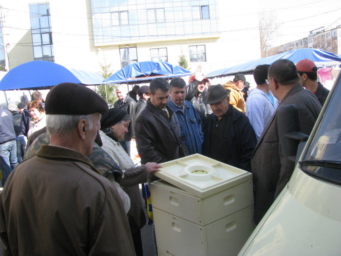 IMG_1086 - targ slobozia