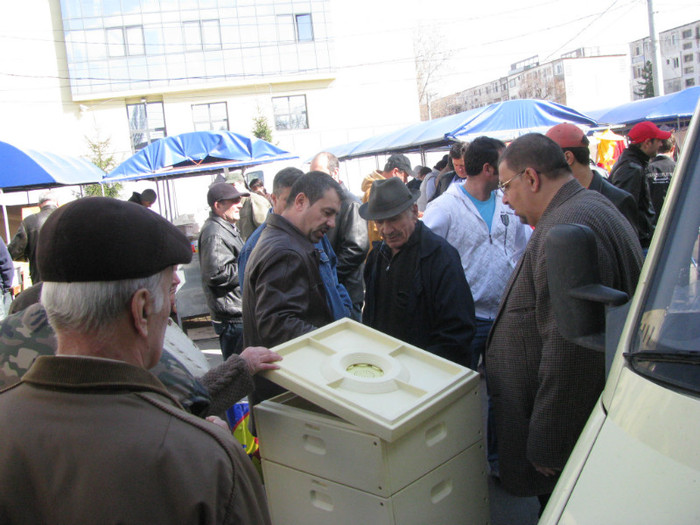 IMG_1087 - targ slobozia
