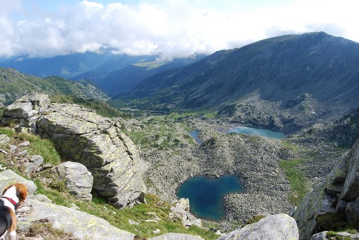 LACURILE:MANDRA, ROSIILE SI LUNG