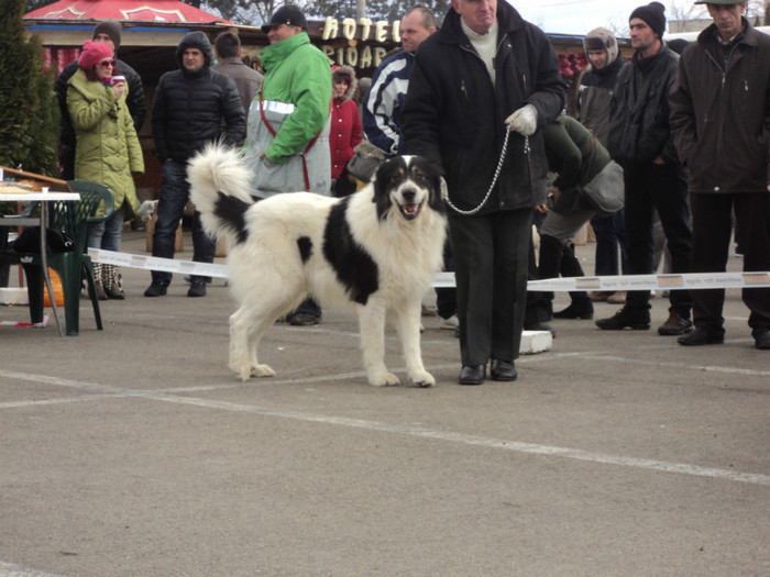 DSC06643 - Expo Suceava 2012