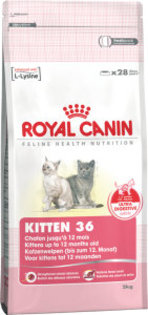 kitten - Royal Canin