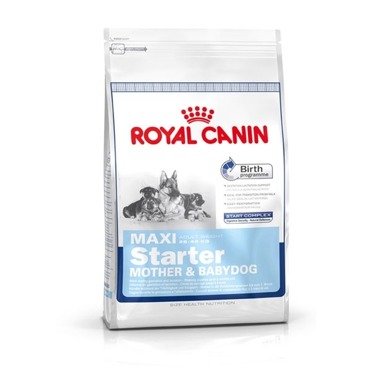 maxi starter - Royal Canin
