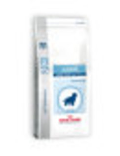 phpThumb3bcb - Royal Canin