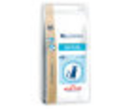phpThumb5da5 - Royal Canin