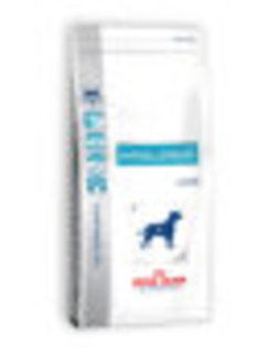 phpThumb6dd6 - Royal Canin