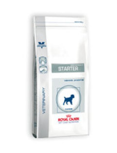 phpThumb7b75 - Royal Canin