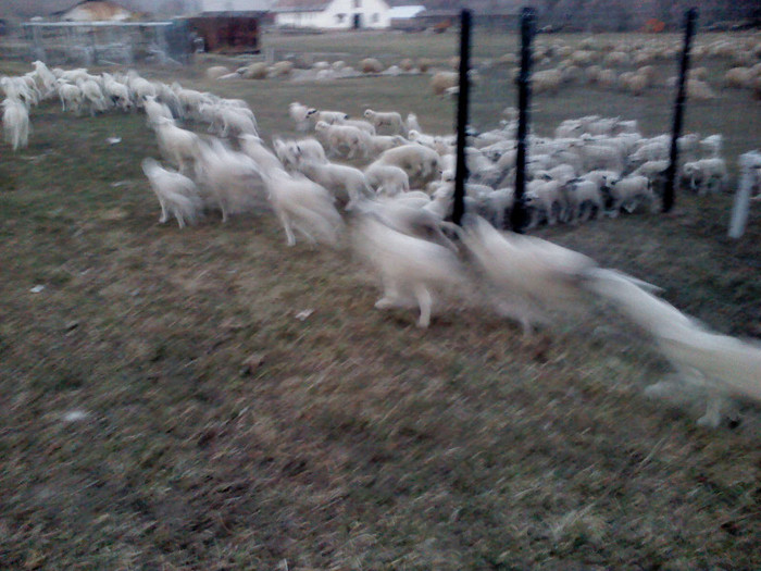 DSC01718; viteze :))
