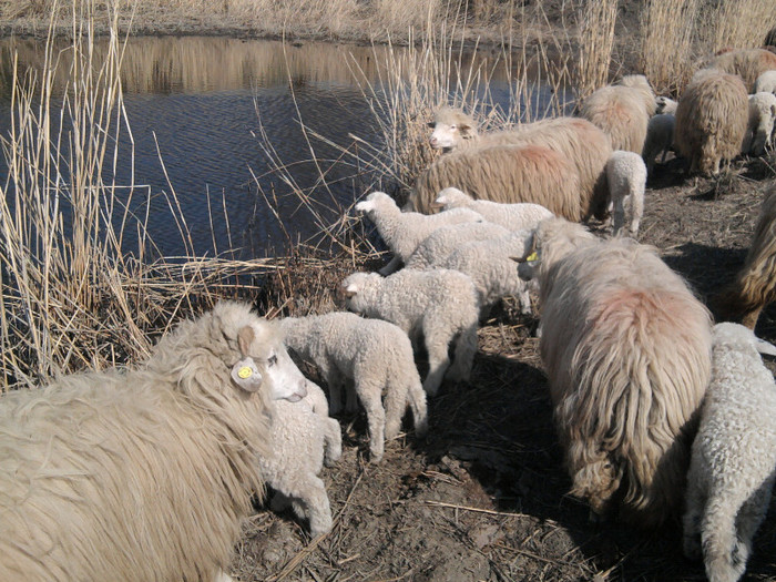 Fotografie1820 - 0 MIEI 2012