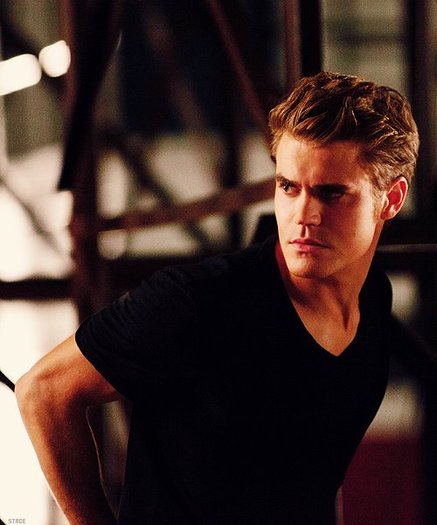 306329_290632537633022_252874978075445_1142012_1288476293_n