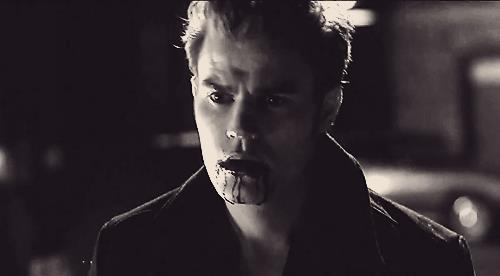 425330_392181387478136_252874978075445_1456489_1200077458_n