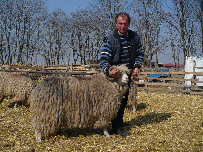 marcu 016 - Turcane de Alba - Bale de Sugag