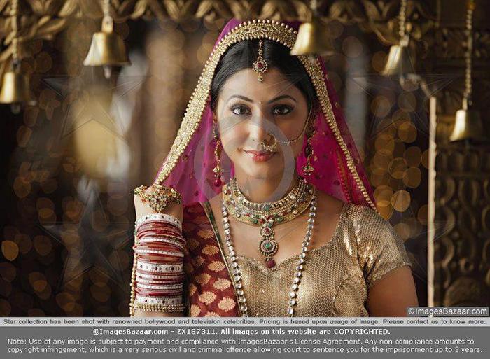 554455_321691991226347_200307900031424_919338_1496991127_n - Hina Khan